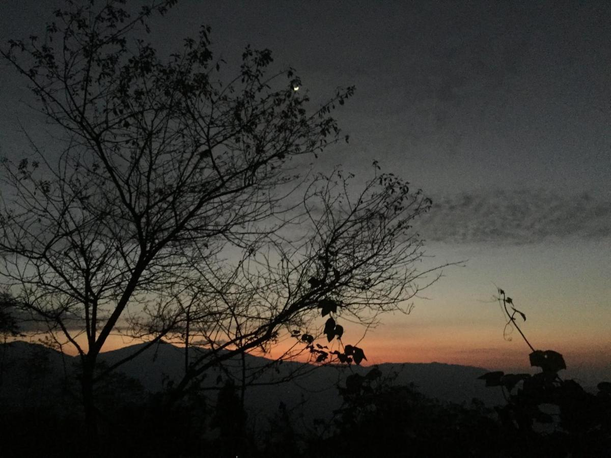 Chintapu Homestay In Ilam, Eastern Nepal Kültér fotó