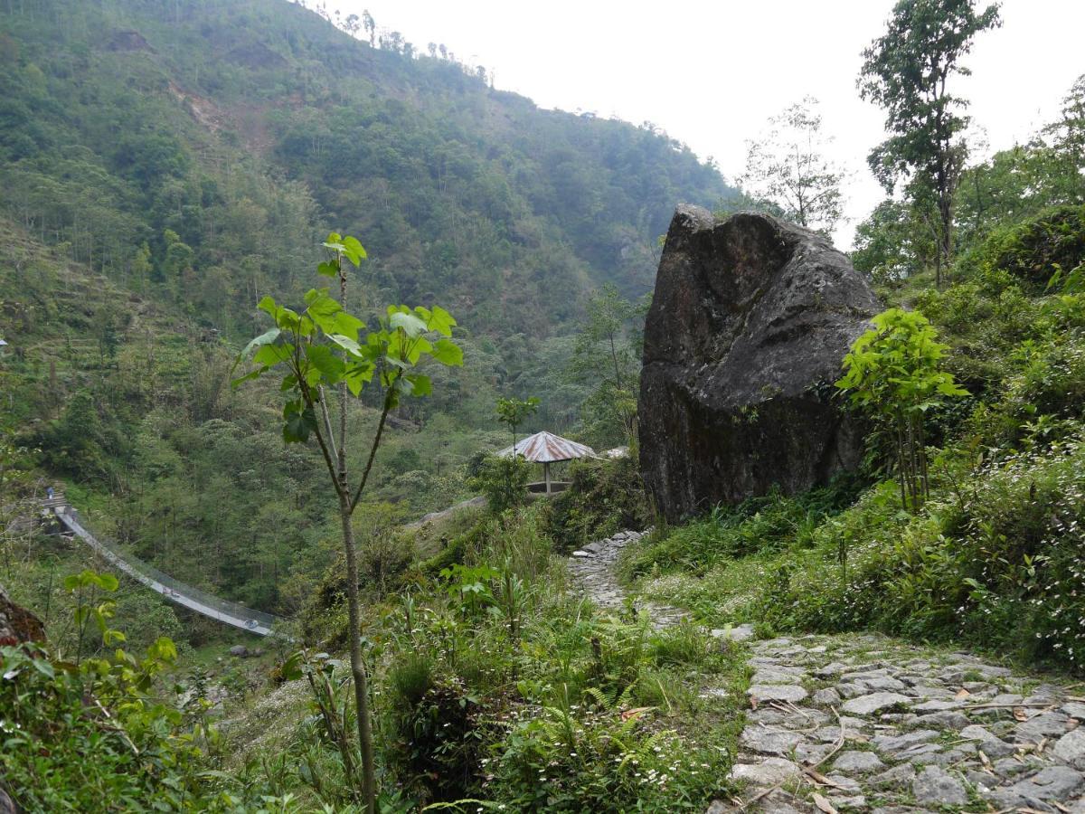 Chintapu Homestay In Ilam, Eastern Nepal Kültér fotó