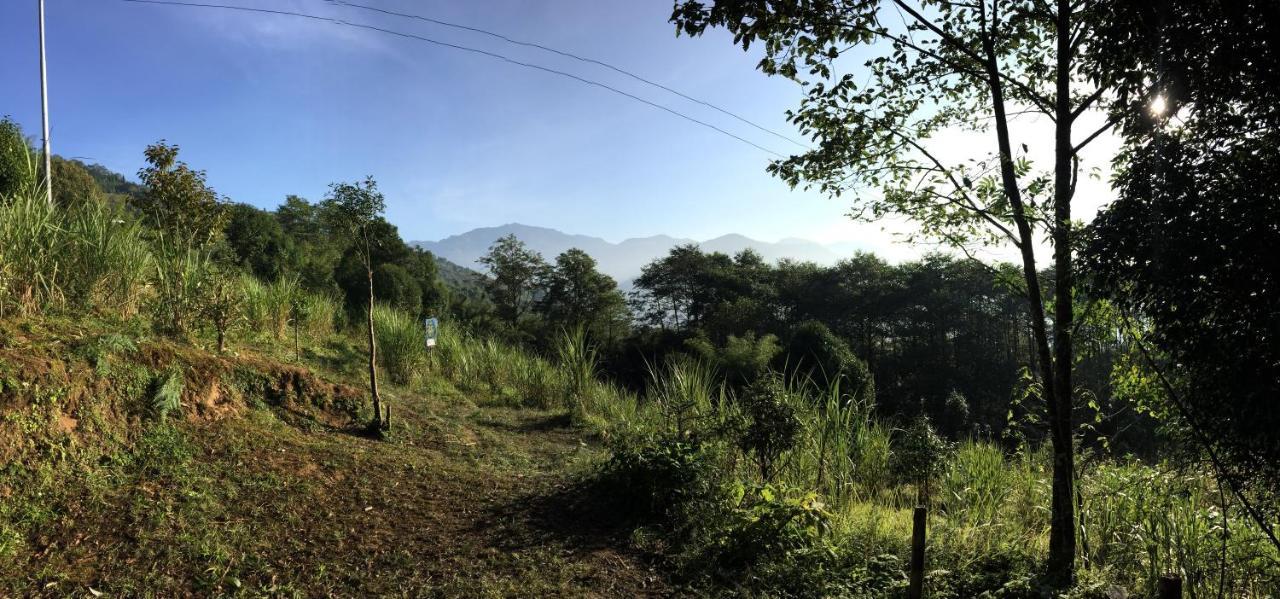 Chintapu Homestay In Ilam, Eastern Nepal Kültér fotó