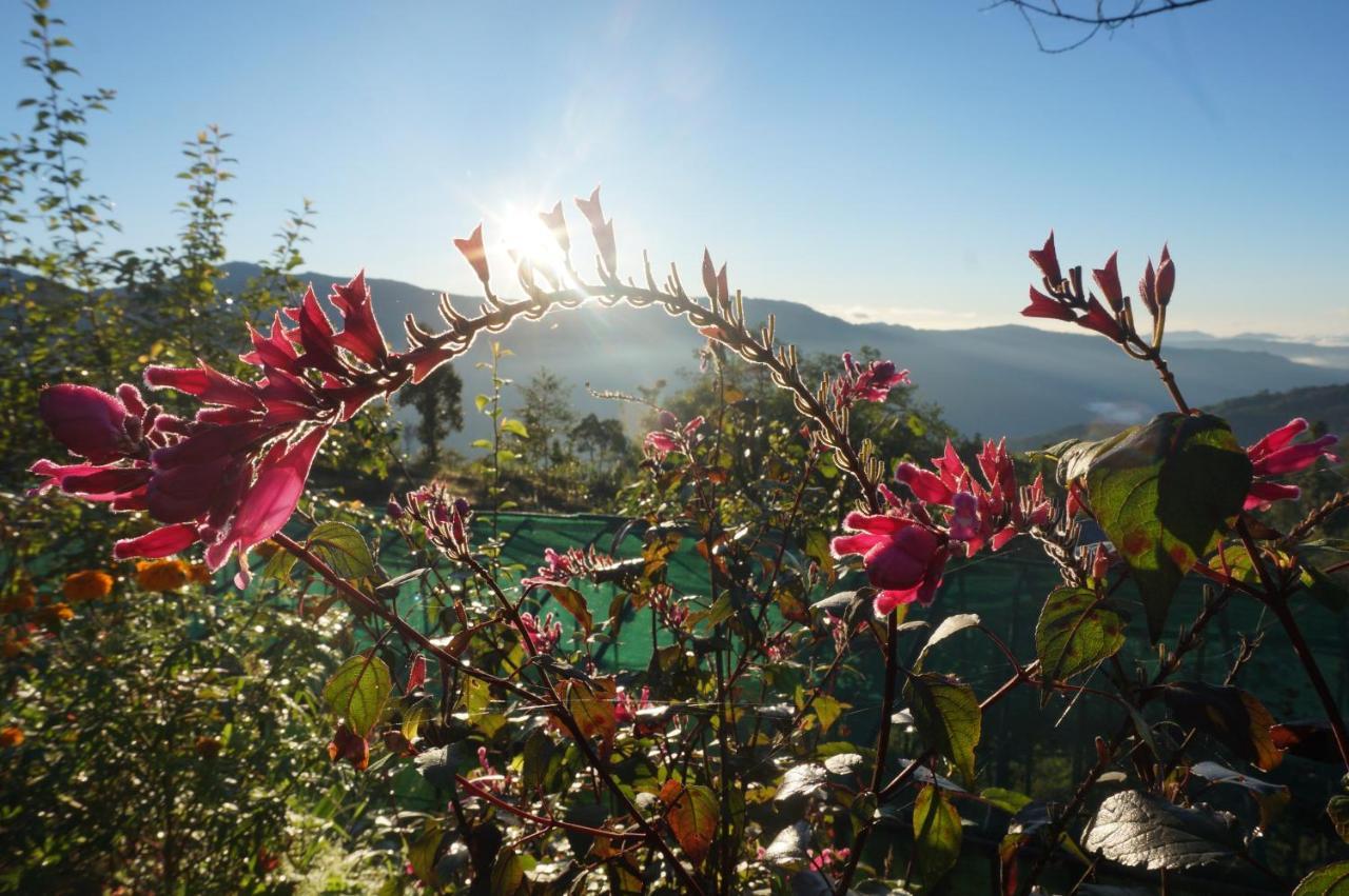 Chintapu Homestay In Ilam, Eastern Nepal Kültér fotó